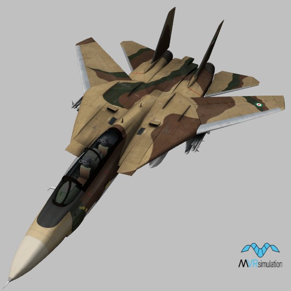 F-14A.IR.camo