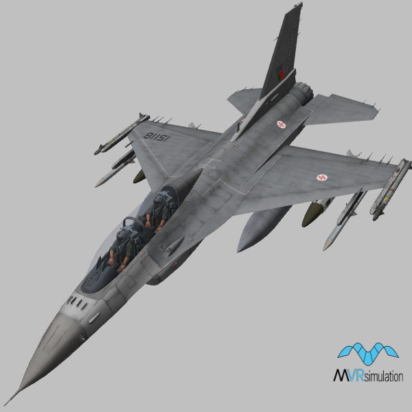 F-16B.PT.grey