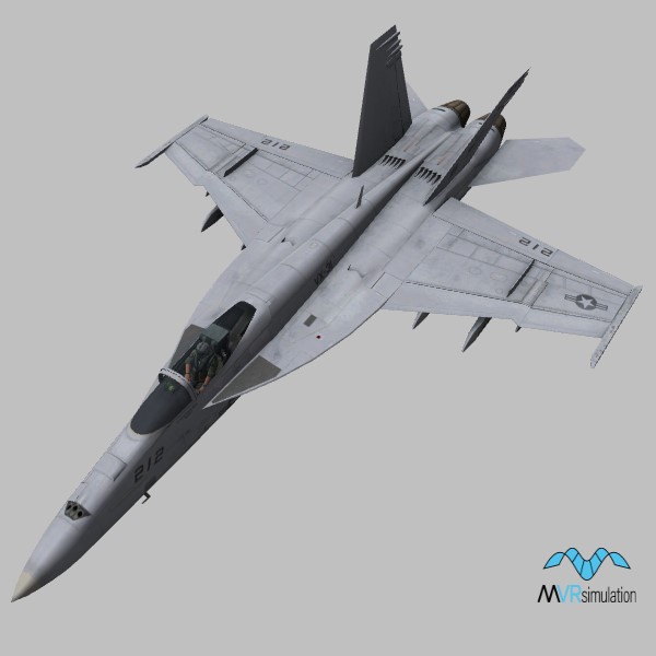 FA-18E.US.grey.VX-31