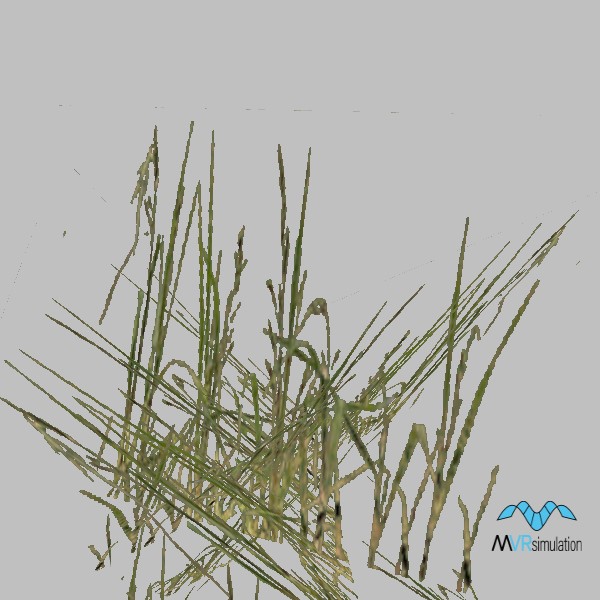 Grass-001