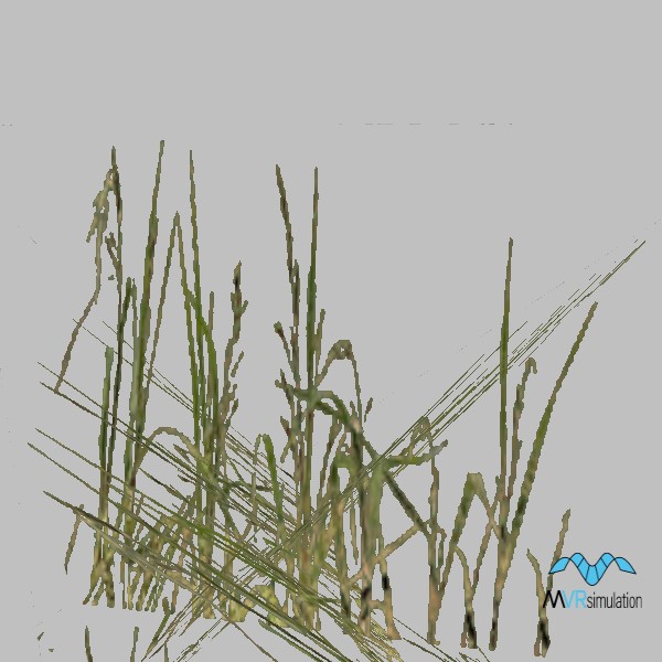 Grass-002