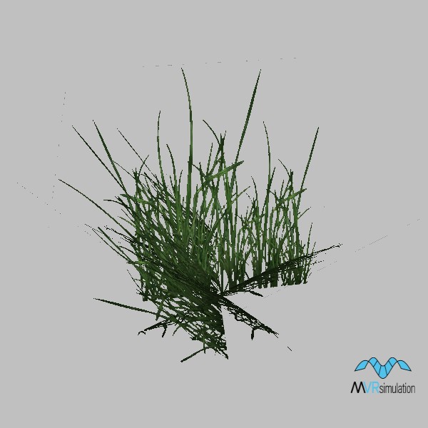 Grass-006