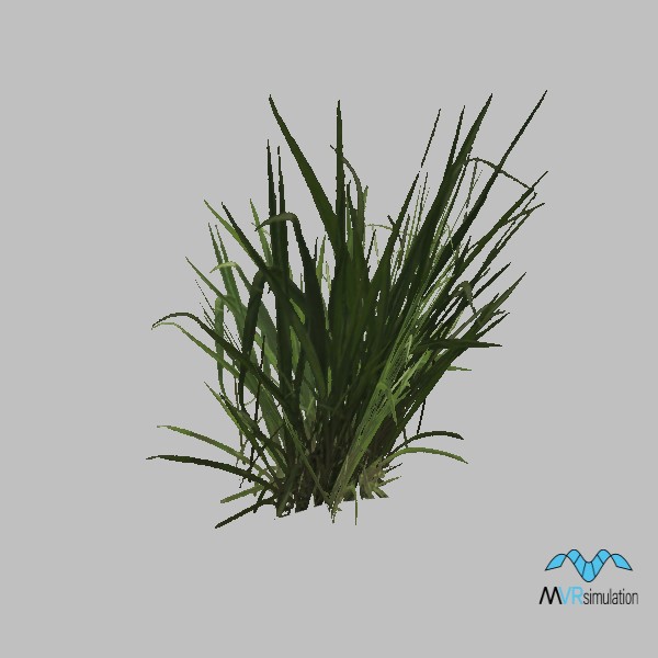 Grass-011