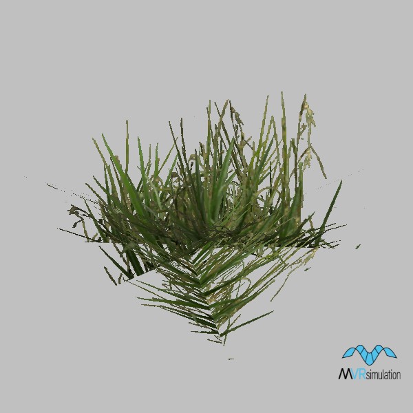 Grass-012