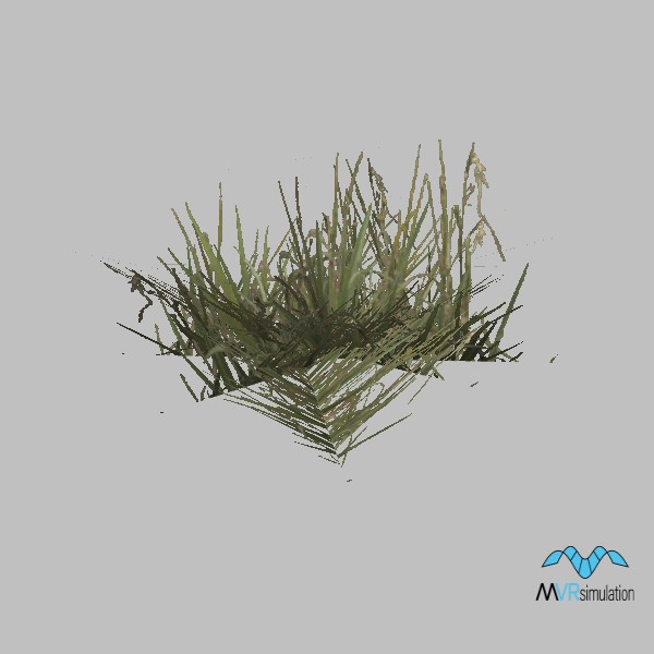 Grass-014