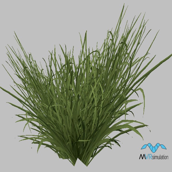 Grass-023