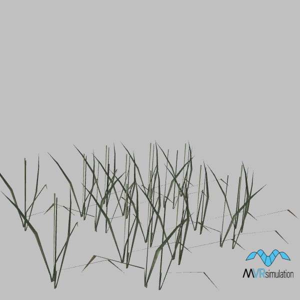 Grass-028