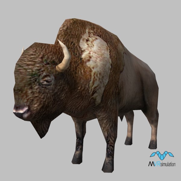 animal-bison-001