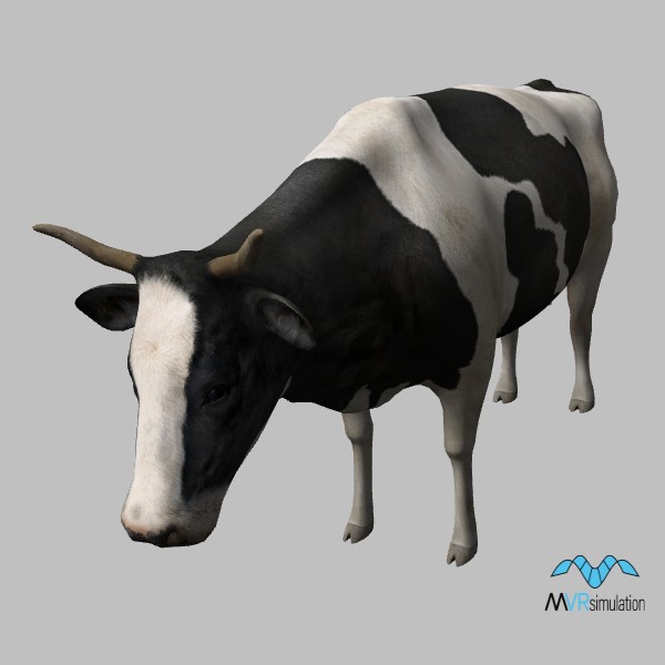 animal-cow-001