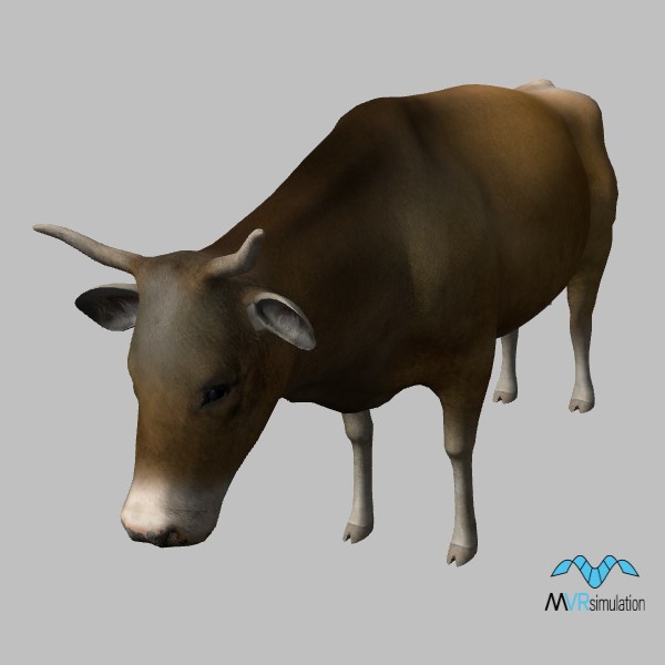 animal-cow-002