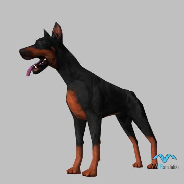 animal-dog-002