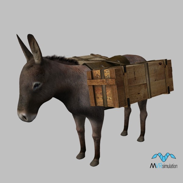 animal-donkey-001-ammo