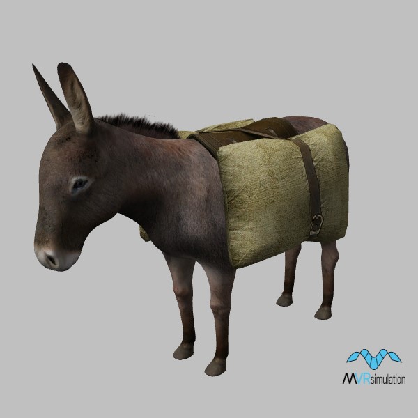 animal-donkey-001-cargo