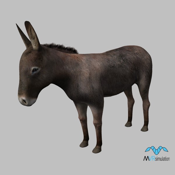 animal-donkey-001