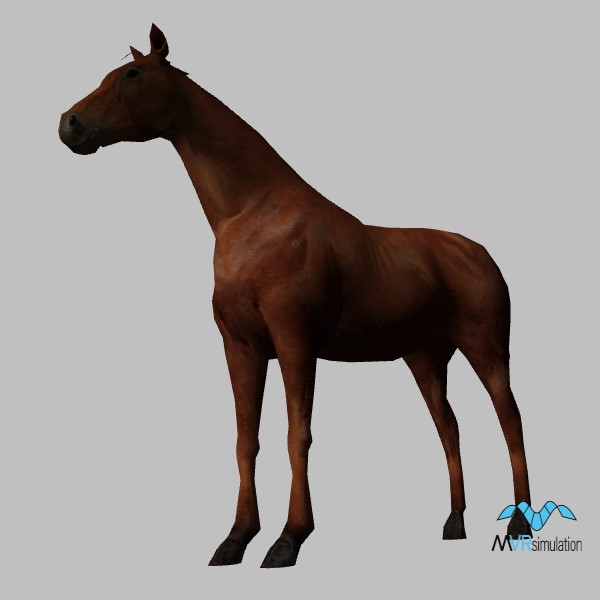 animal-horse-001