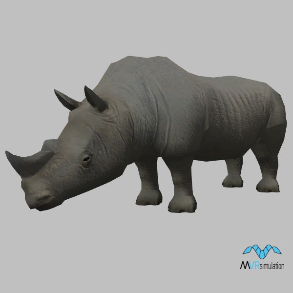 animal-rhinoceros-001