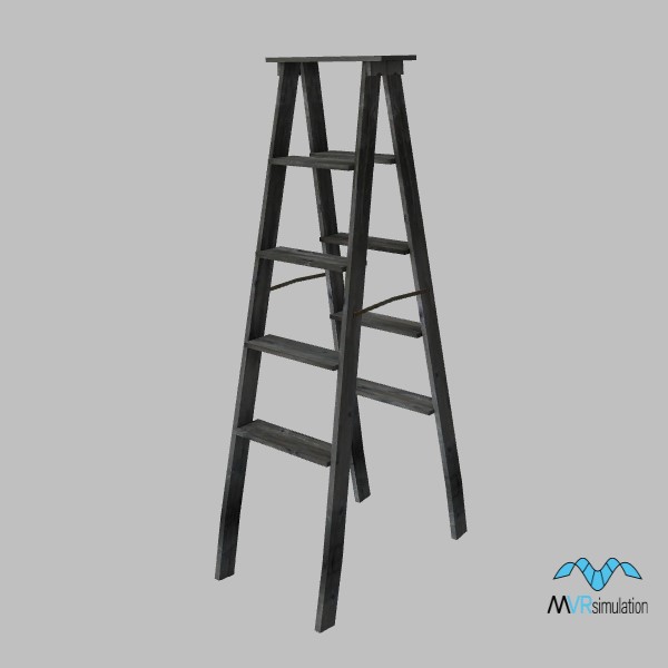 ladder-005