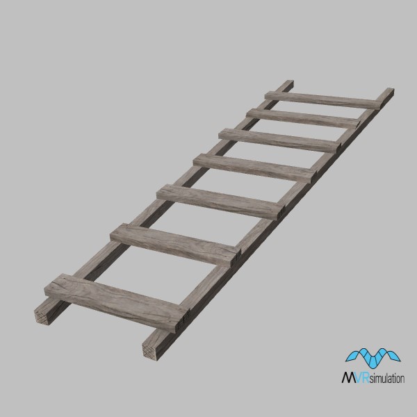 ladder-006