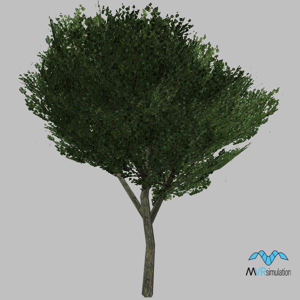 tree-125