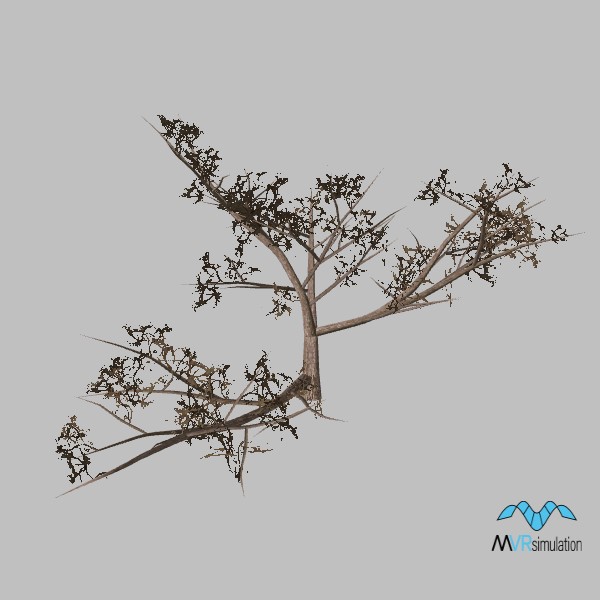 tree-mesquite-002