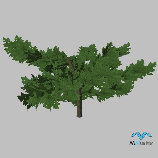 tree-pine-002