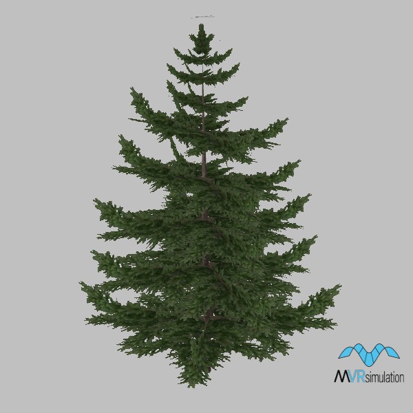 tree-pine-004-low-001
