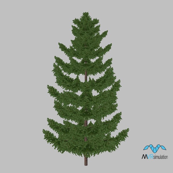 tree-pine-005
