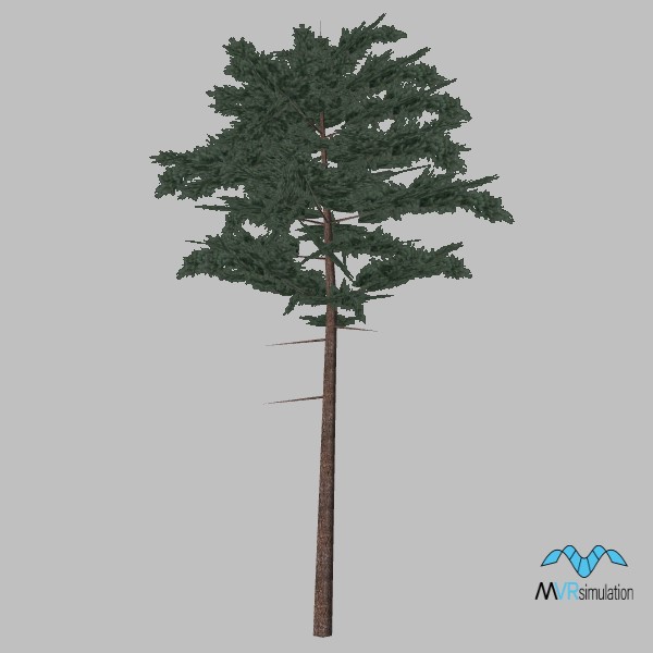 tree-pine-010