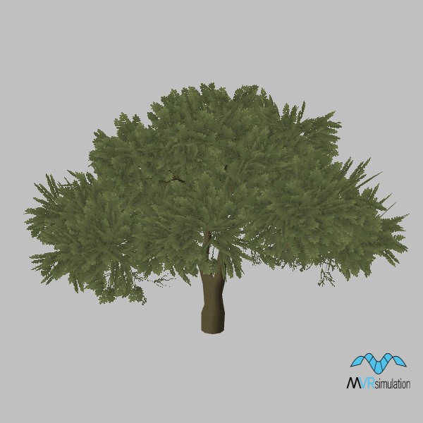 tree-terebinth-001