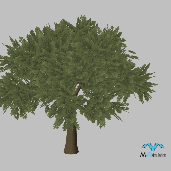 tree-terebinth-002