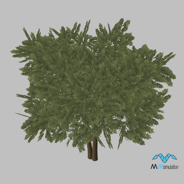 tree-terebinth-003